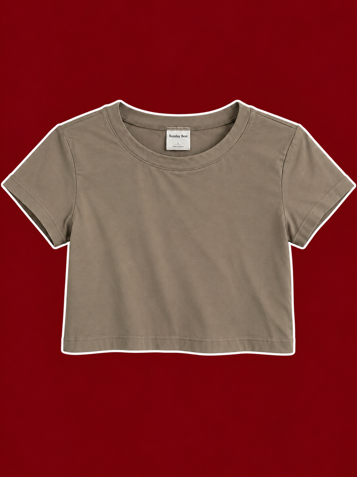 Aritzia Taupe Cropped Baby Tee