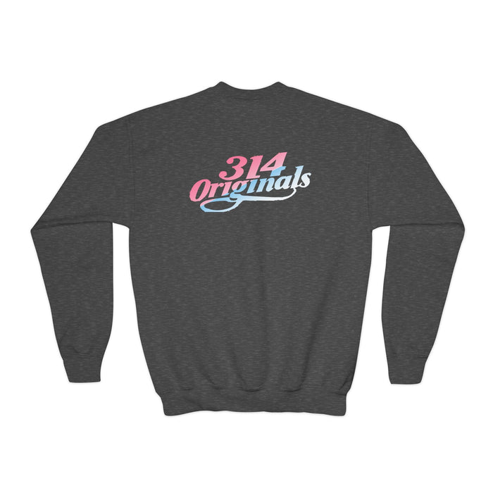 “Baby Girl” Pink & Blue Retro Script Sweatshirt - 314 Originals