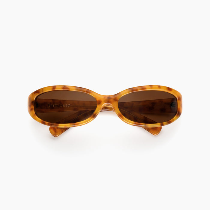 Lt Tortoise / Brown