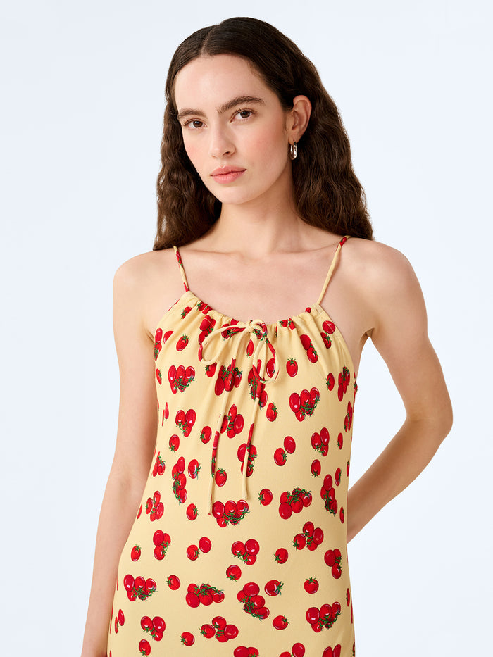 Cecile Dress in Tomato Print