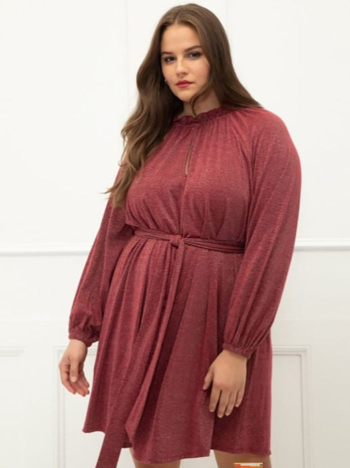 eloquii Size 18/20 Red Sparkles Dress