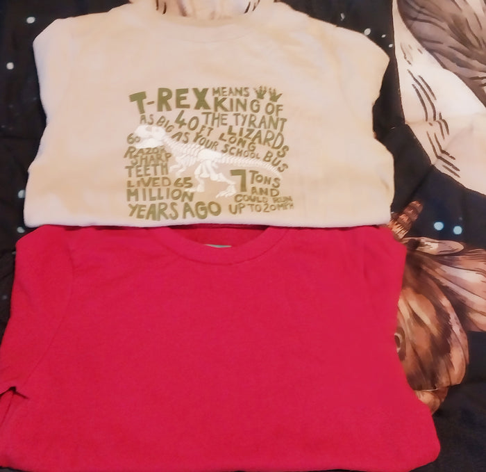 Kid Tees 2pack