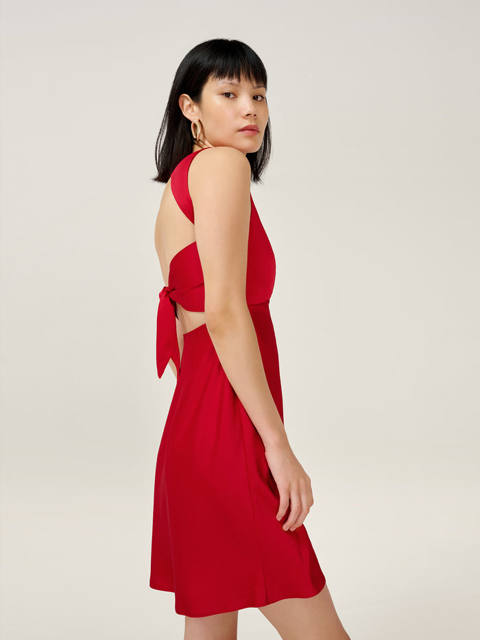 Nova Mini Dress in Barbados Cherry