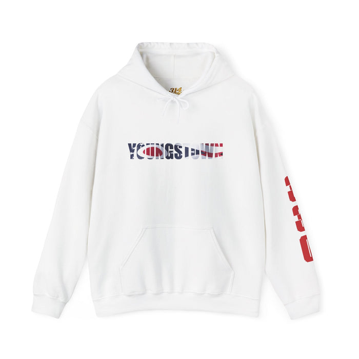 Ohio Flag Hoodie — State Outline - 314 Originals