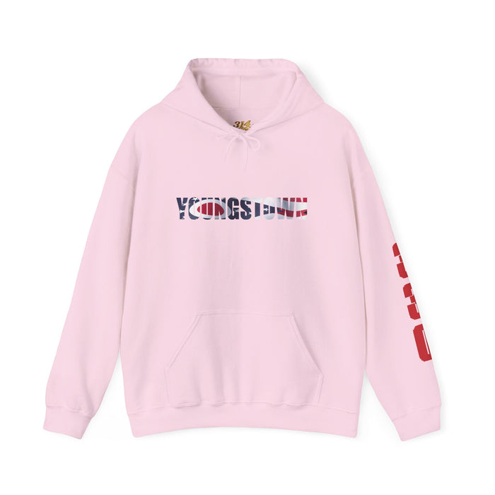 Ohio Flag Hoodie — State Outline - 314 Originals
