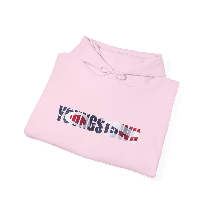 Ohio Flag Hoodie — State Outline - 314 Originals