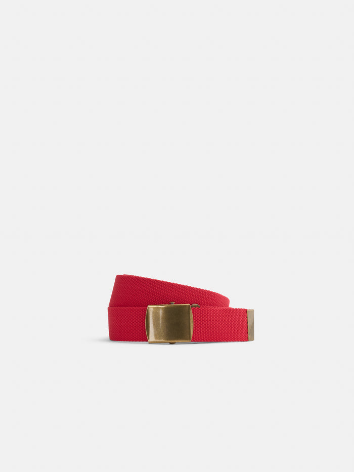 Solid Web Belt