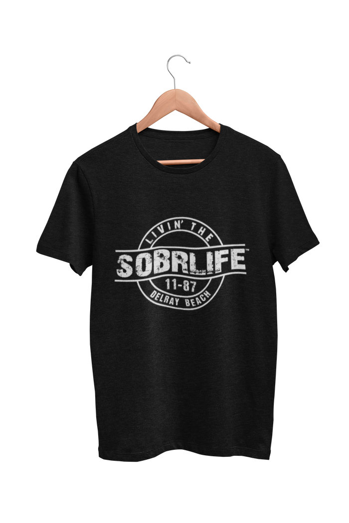 Unisex Sober Celebration T-Shirt